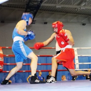 Boks królował w Radomsku