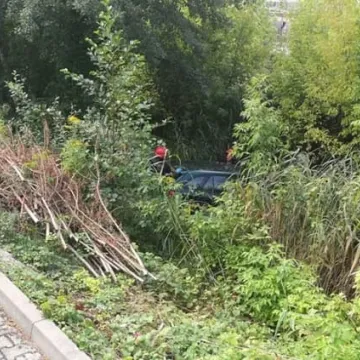 Wjechał do Radomki. Kierowca zasłabł za kierownicą