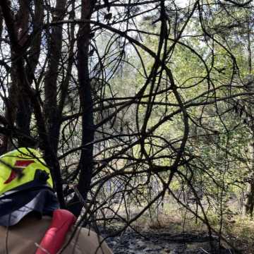 Strażacy gasili las i ściernisko w Białej Górze. Przyczyną ognia - podpalenie