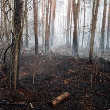 Potężny pożar w Łęgu