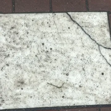 Zapomniane żydowskie muzeum pod chmurką