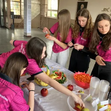 Światowy Dzień Zdrowia obchodzono w Mechaniku