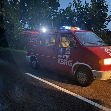 Nawałnica przeszła przez region. Powalone drzewa, uszkodzone dachy