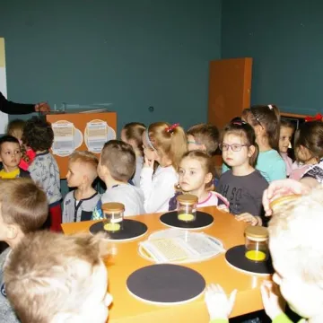 „Świat zmysłów” - nowa interaktywna wystawa w muzeum