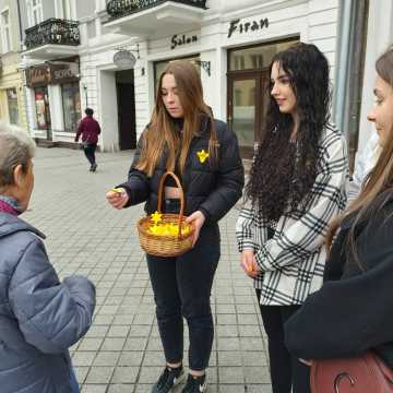 Młodzież z „ekonomika” rozdawała żonkile na ulicach Radomska