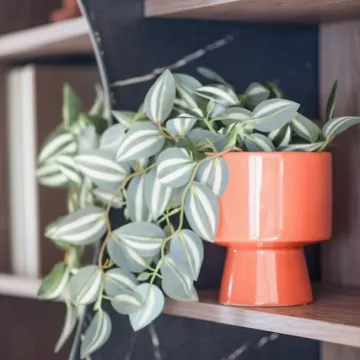 Mobilny showroom firmy Korner na Święcie Pszczoły w Kłomnicach