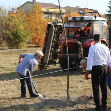 Sto drzew na stulecie