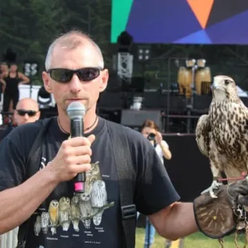 Dni Radomska 2018: Pokazy sokolnika