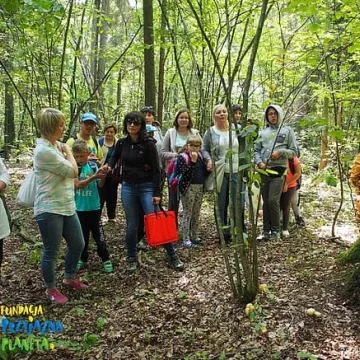Terapia lasem już działa