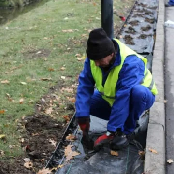 Róże na urodziny Radomska