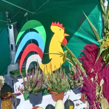 Tak obchodzono święto plonów w Kodrębie