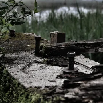 Zdobyli fotograficzne szlify