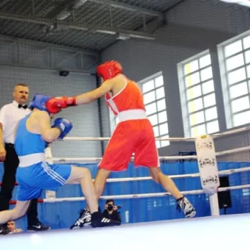 Boks królował w Radomsku