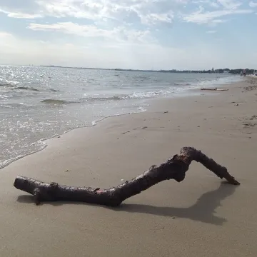 [WASZE ZDJĘCIA] Pocztówka z wakacji