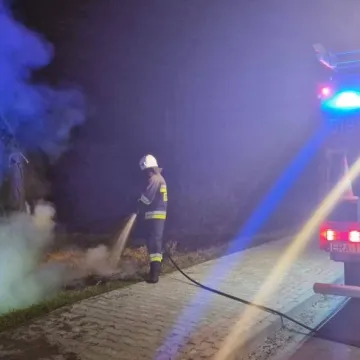 Palił się pień drzewa. Strażacy szybko opanowali sytuację