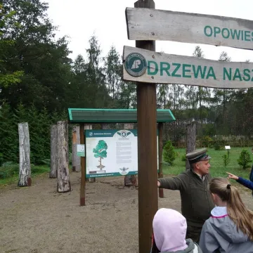 „Droga śmiecia” w Reymontówce na Bugaju