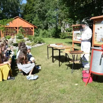 Przy PSP 6 w Radomsku powstał ogród dydaktyczny