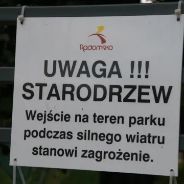 Radny Rączkowski: drzewa w Parku Świętojańskim zagrażają życiu mieszkańców