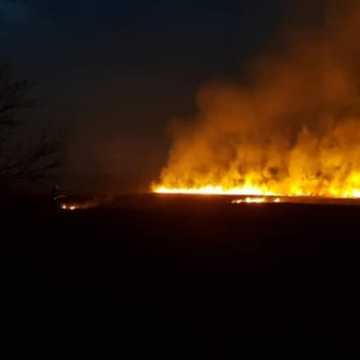 Spłonęło 15 hektarów traw