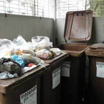 RSM przypomina o segregowaniu śmieci