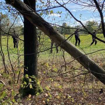 [WIDEO] Manewry klas mundurowych ZSP 1 w Radomsku. Praktyczna lekcja poszukiwania zaginionych