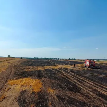 W Korytnie spłonęło 15 ha ścierniska