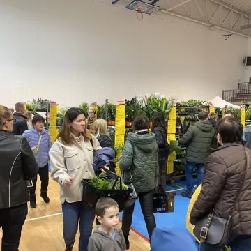 Rośliny opanowały Radomsko. Festiwal Roślin odbył się po raz pierwszy