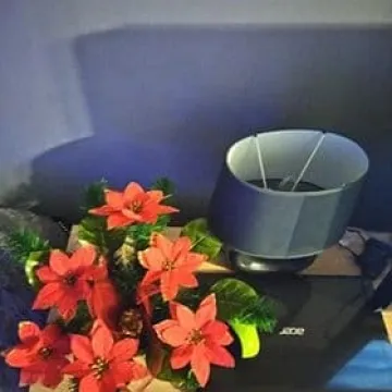 [FOTO] Świąteczne ozdoby Czytelników portalu Radomsko24.pl