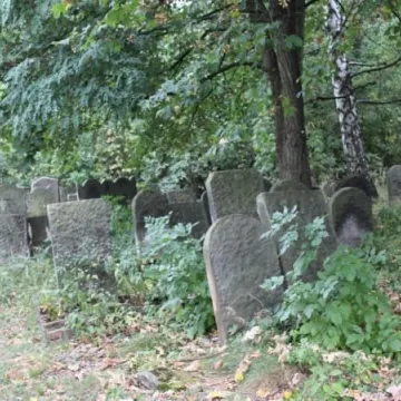 Kirkut odkrywa swoje tajemnice