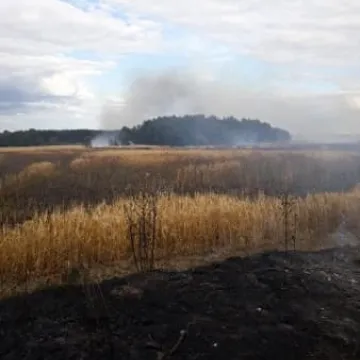 Pożar zboża między Przerębem a Bartodziejami
