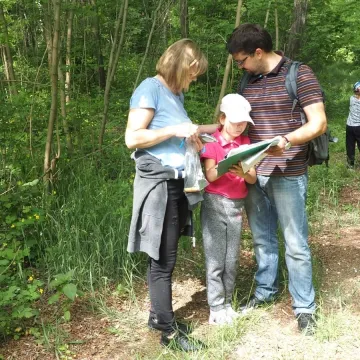 Ścieżka zagadek w „Tajemniczym lesie” pokonana
