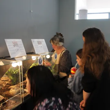 Pająki i skorpiony w MDK w Radomsku