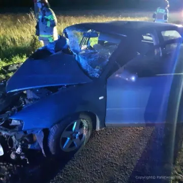 Czołówka audi z drzewem