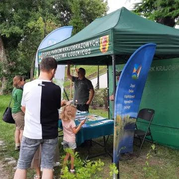 Wielkie Łowy Króla Kazimierza w Przedborzu