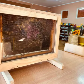 Warsztaty pszczelarskie w przedszkolu nr 4