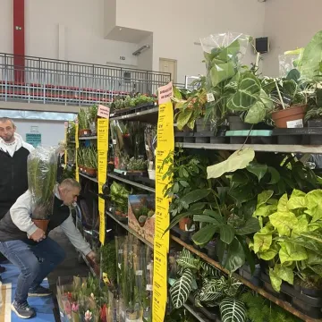 Rośliny opanowały Radomsko. Festiwal Roślin odbył się po raz pierwszy