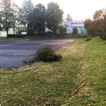 Ranni, połamane drzewa, zamknięty park. Bilans orkanu Ksawery w Radomsku i powiecie