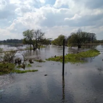 Podtopienia na Topiszu, Bobrach i Szczepocicach 