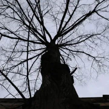 Fotografia poza utartym szlakiem