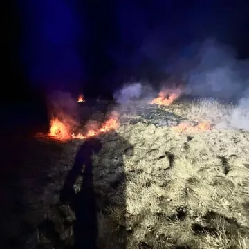 Plaga pożarów traw w powiecie radomszczańskim