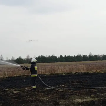 Pożar suchej trawy w miejscowości Górki