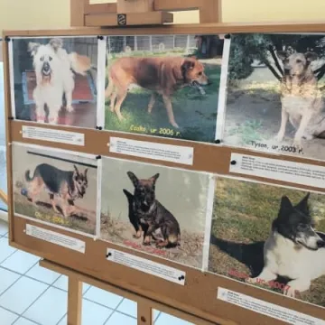 Finał akcji „Podaruj seniorowi domek”