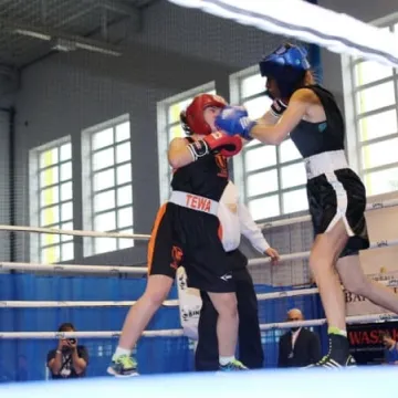 Boks królował w Radomsku