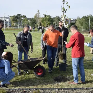 Chillowanie pod Gwiazdami na Gliniankach