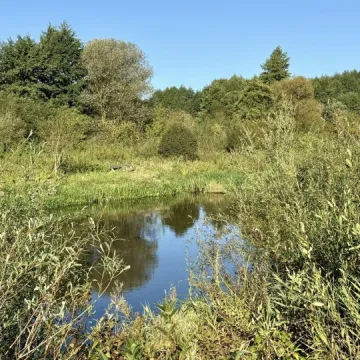Wielkie sprzątanie w Przedborzu. Pilica odzyskała blask