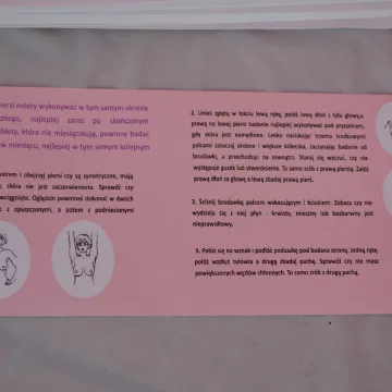 II Radomszczański Różowy Piknik