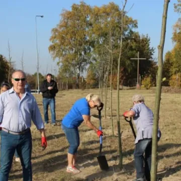 Sto drzew na stulecie