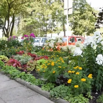 Konkursowe ogrody radomszczan