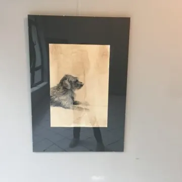 Zobacz prace Damiana Grabarczyka