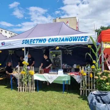 Słodka zabawa z miodem w Gomunicach